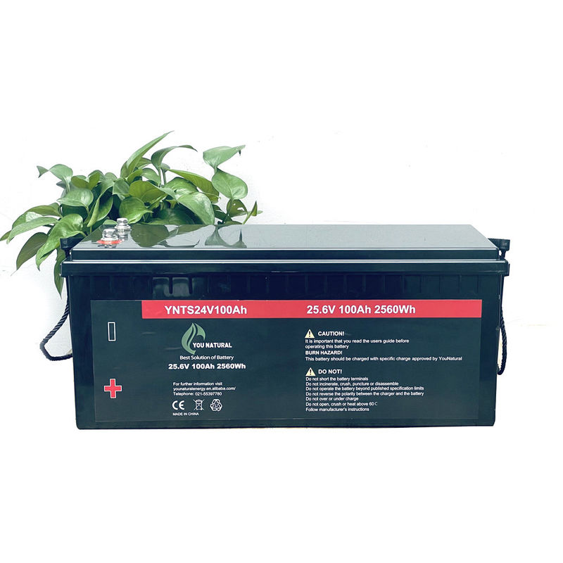 les cycles de la batterie 3000 de 24V LiFePo4 font un cycle longtemps le lithium rechargeable Ion Batteries de la vie 2560wh 100ah