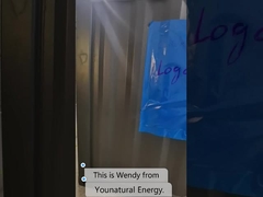 batterie containerisée du système 1MW 2MWH LiFePo4 de stockage de l'énergie de batterie de 40ft